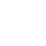 DS Services